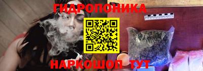 jwh Нальчик