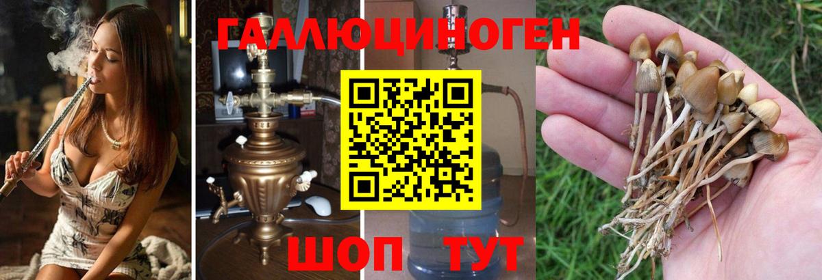 Ульяновск  Галлюциногенные грибы мухоморы  Псилоцибиновые грибы ЛСД  продажа наркотиков  Вход с VPN 