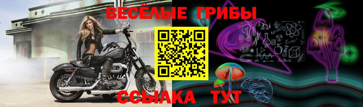 Псилоцибиновые грибы Cubensis Ульяновск
